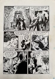 César Spadari - The Phantom “Temple of Gods Part 6” - Planche originale