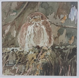 Sylviane Fraiture - Chouette - Aquarelle Sylviane Fraiture - 15x15cm - Illustration originale