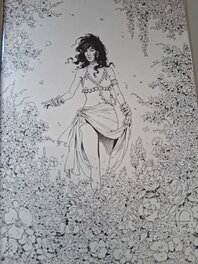 Philippe Pellet - Forêts d'opale - Illustration originale