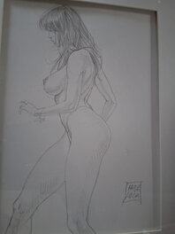 Mauro de Luca - Druuna - Illustration originale