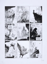Vincent Mallié - La quête de l'oiseau du temps , Vincent Mallié - Planche originale