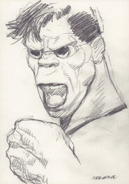 Tanino Liberatore - Portrait RanXerox - F - Illustration originale