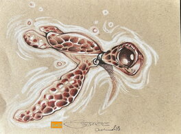 Ood Serrière - Tortue - Illustration originale