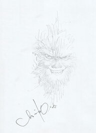 Le roi des Singes