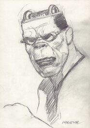 Tanino Liberatore - Portrait RanXerox - B - Illustration originale