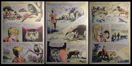 Ferdinando Tacconi - Yataca le fils du Soleil - Comic Strip