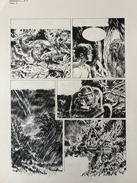 Juan Arranz - Azzanz, Wangaroo, Episode 2, La revanche de Goha, planche n°8, YPS, fin 70’s. - Comic Strip