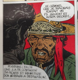 Case  chihuahua pearl