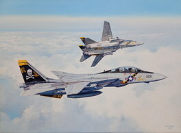 F-14 Tomcat Jolly Rogers