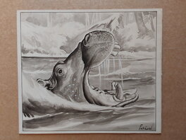 La 4 : Fergal avec La Gueule Ouverte de L'Hippopotame au Format : 19,5 X 22,5 Cm .