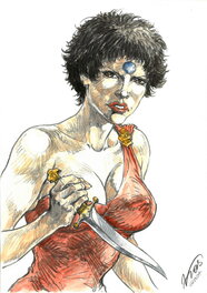 Kas - "Hans" - Orchidee - Illustration originale