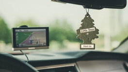 Une bonne odeur de sapinette ! Une bonne odeur de sapinette !