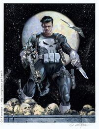 The PUNISHER