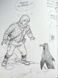 LES AVENTURES DE QUENTIN FOLOISEAU   T2 L'ÎLE DU BOUT DU MONDE