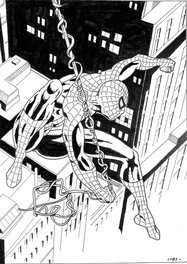 Luciano Bernasconi - Spiderman - Comic Strip