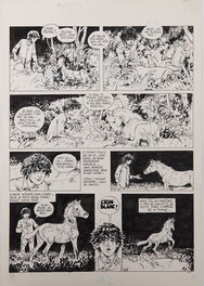 Michel Faure - Michel Faure - Crin Blanc p. 11 - Planche originale