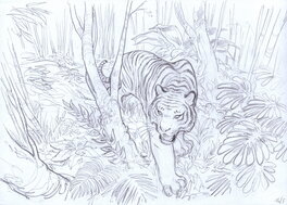 Federico Bertolucci - Love #1 - Le tigre - Couverture originale