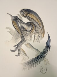 Pietrantonio Bruno - Xénomorphe - Illustration originale