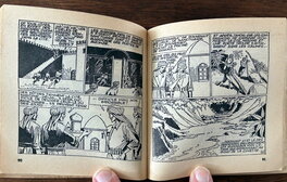 La publication en poche