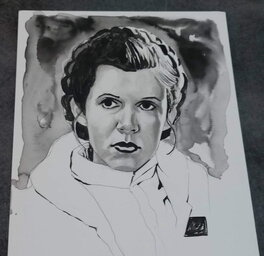 Gary Shipman - Princesse  Leia Organa - Illustration originale