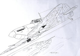 Spitfire BL423, qui s'est écrasé à Leffinge en 1943