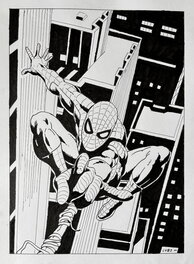 Luciano Bernasconi - Spider-Man - Planche originale