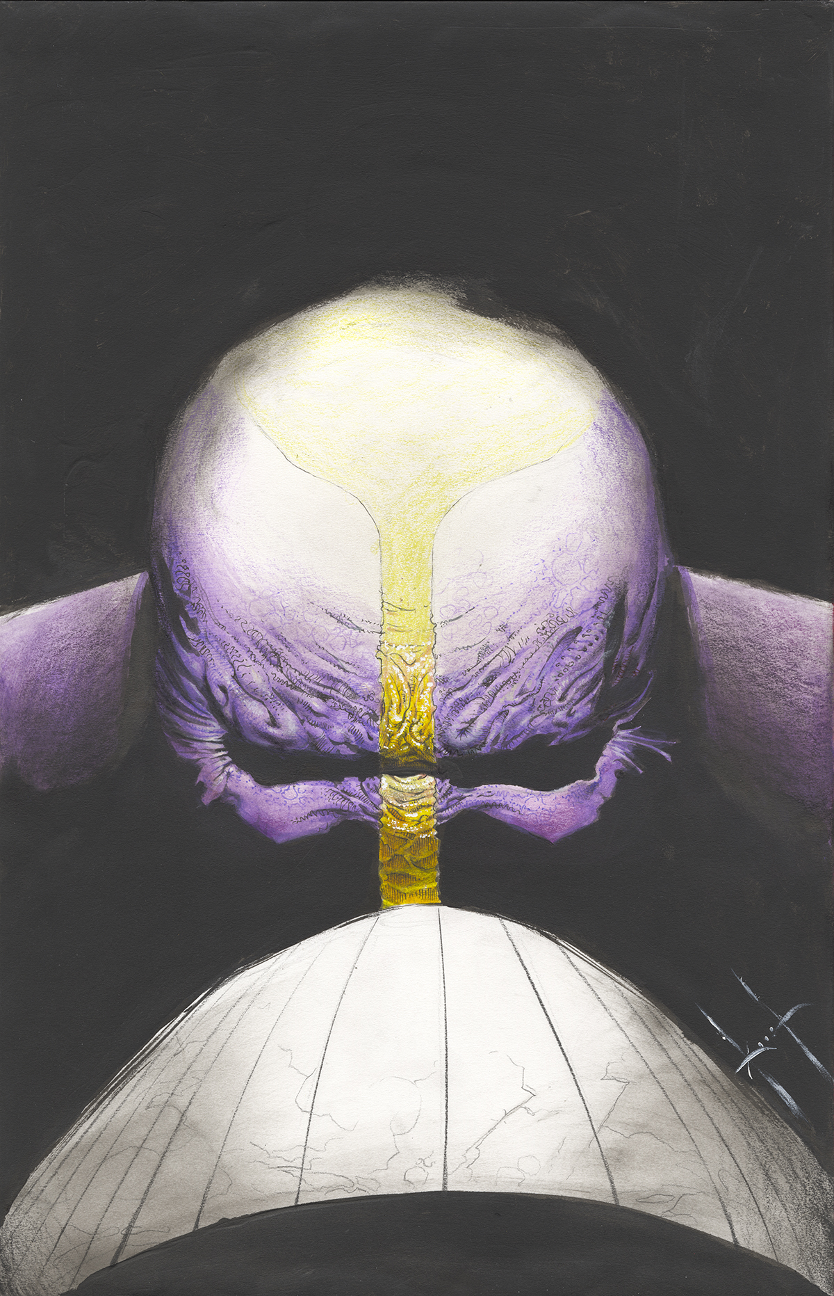 Sam Kieth The Maxx Maxxed Out Vol 1 Couverture Originale