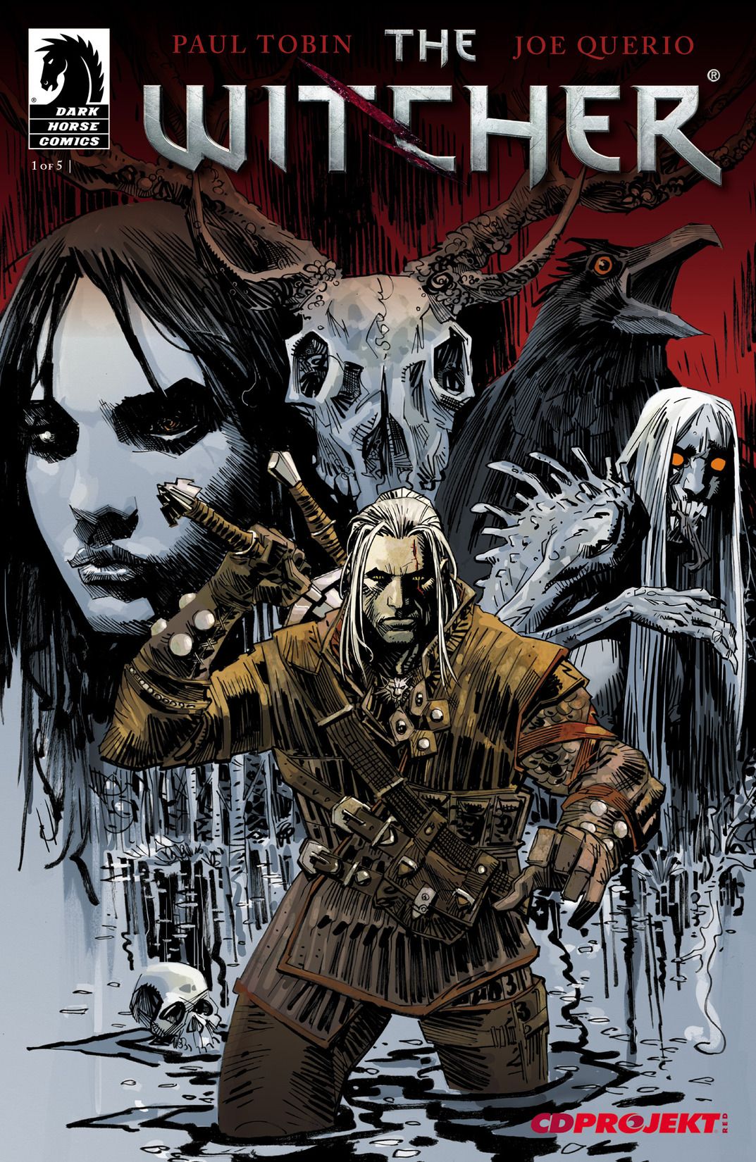 The Witcher 1 par Dan Panosian Couverture originale