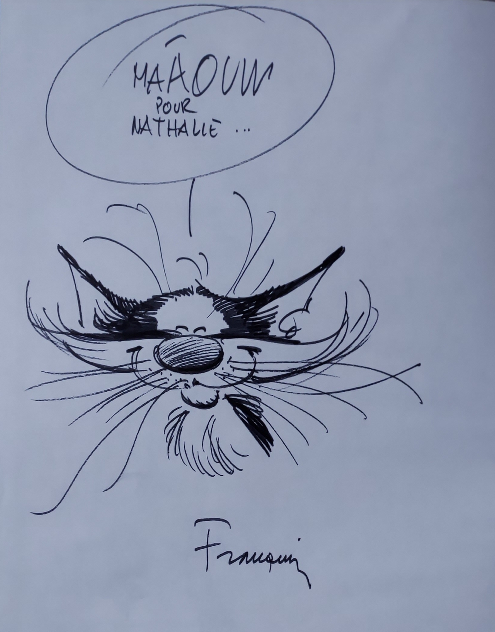 Le Neuvième Art: Le chat de Gaston Par Franquin