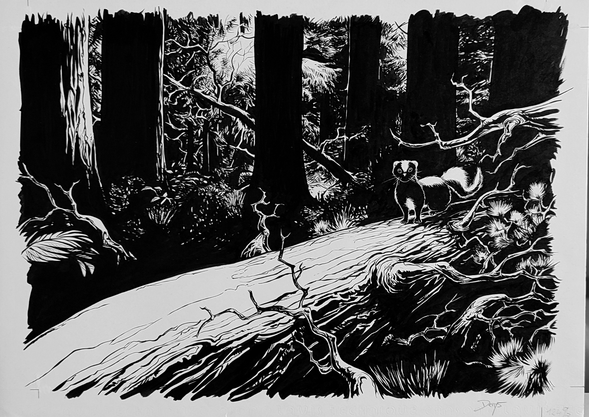 Comptine Page De Garde