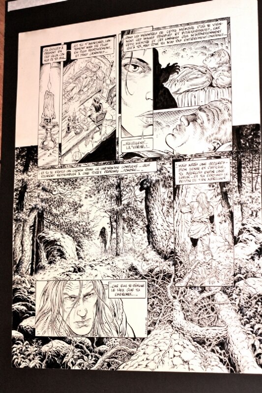 Swolfs, planche 19 du Prince de la Nuit, retour à Ruhenberg - Comic Strip