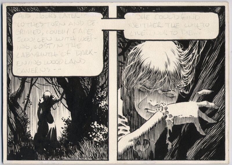 Wrightson 2 cases de Freakshow - Planche originale