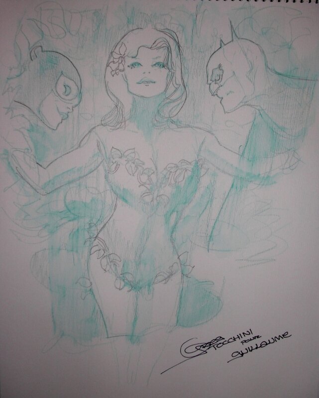 Poison Ivy + Batman & Catwoman par Tocchini - Sketch