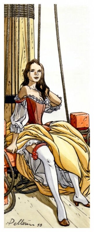 Pellerin L'épervier - Illustration originale