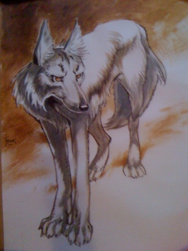 Loup by Frank Pé - Original Illustration