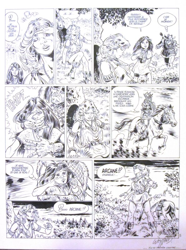 Weyland Michel - Aria - la 7ème porte - planche - Planche originale