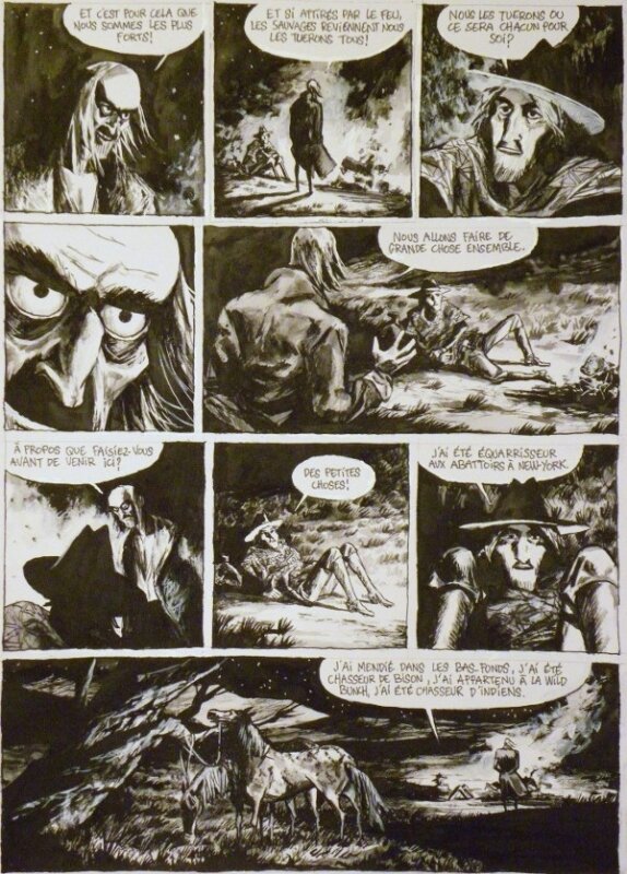 Hugues Micol, Terre de Feu T1, p11 - Planche originale