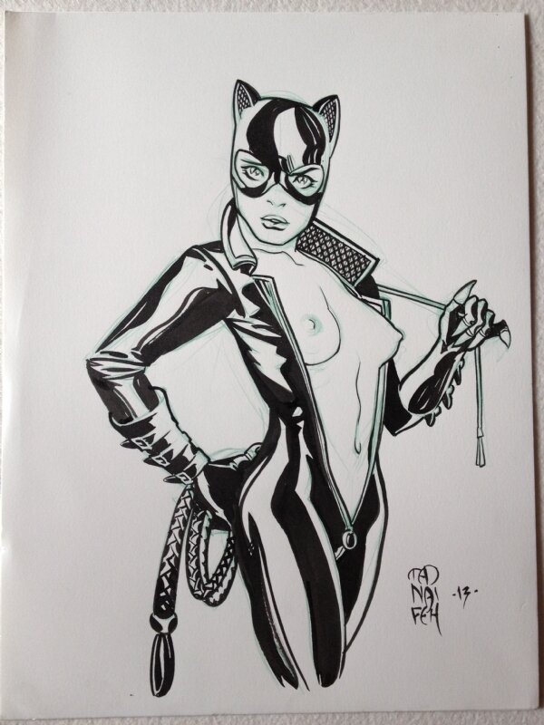 Catwoman by Ted Naifeh - Original Illustration
