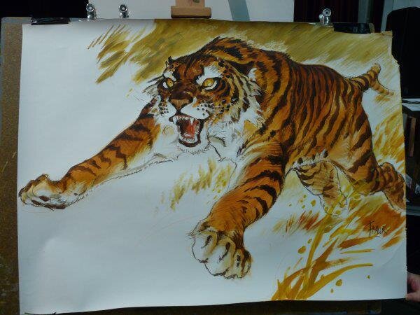 Tigre grand format par Frank Pé - Illustration originale
