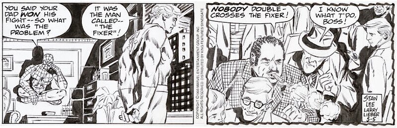 Stan Lee, Larry Lieber, The Amazing Spider-Man Daily Comic Strip, 5/5/1993 - Planche originale