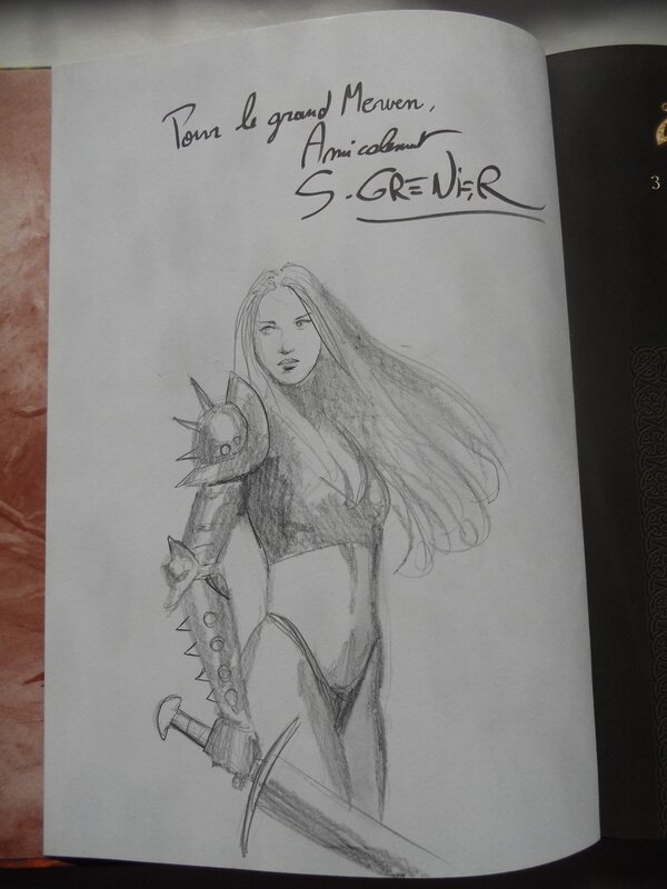 Arawn (Tome 3) by Sébastien Grenier - Sketch