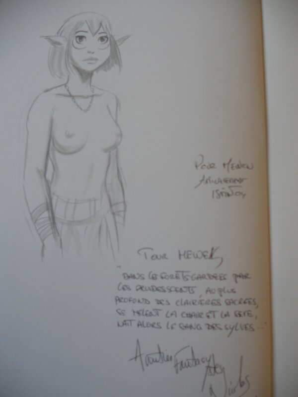 Jean-Luc Istin, Les brumes d'Asceltis (Tome 2) - Sketch