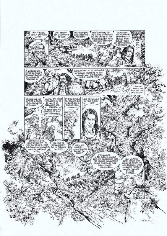 Jérôme Lereculey, David Chauvel, Wollodrïn T1 - Pl 21 - Planche originale