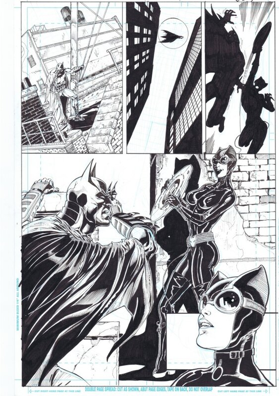 Catwoman & Batman par Ethan Van Sciver - Planche originale