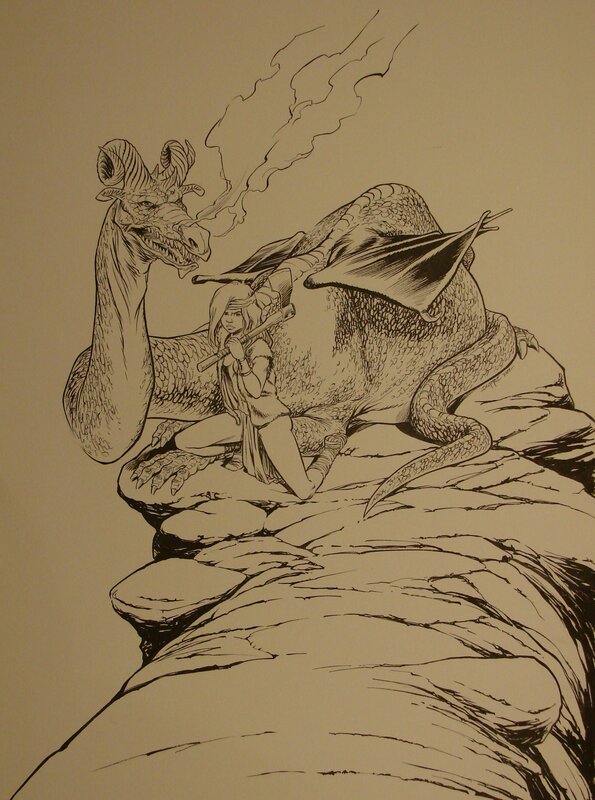 Dragon - commission par Steven Dupré - Illustration originale