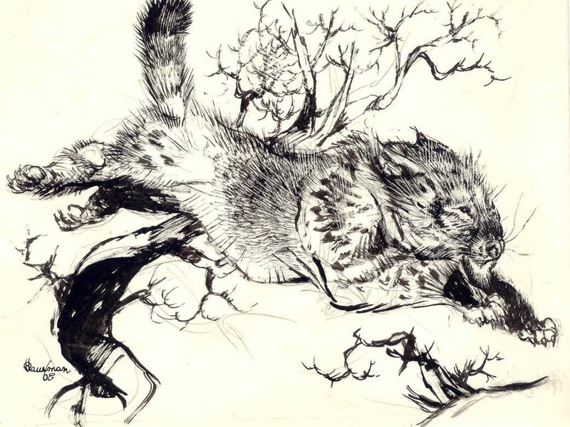 René Hausman, Spirou Nature : Le Lynx (5), 1968. - Illustration originale