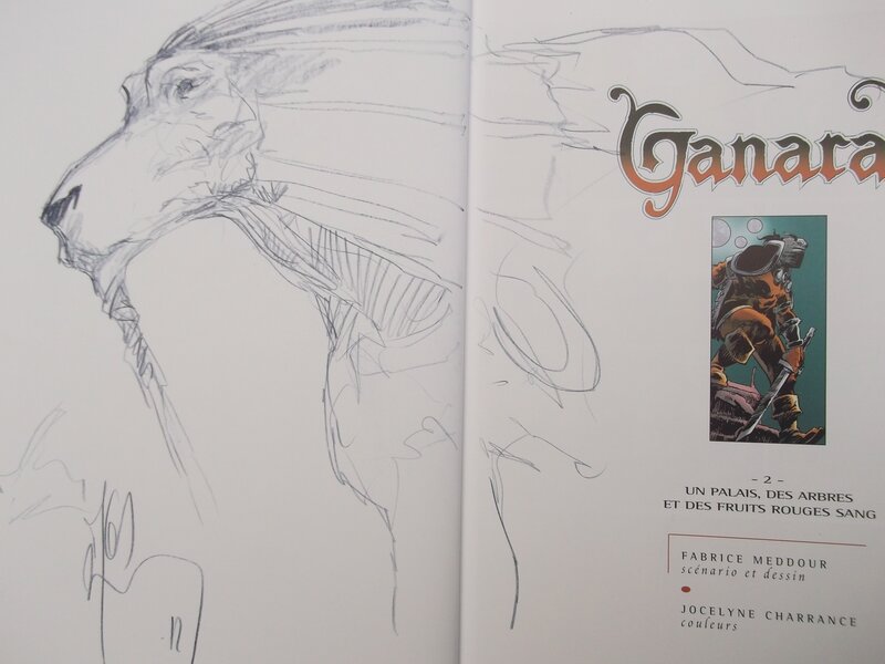 Ganarah by Fabrice Meddour - Sketch
