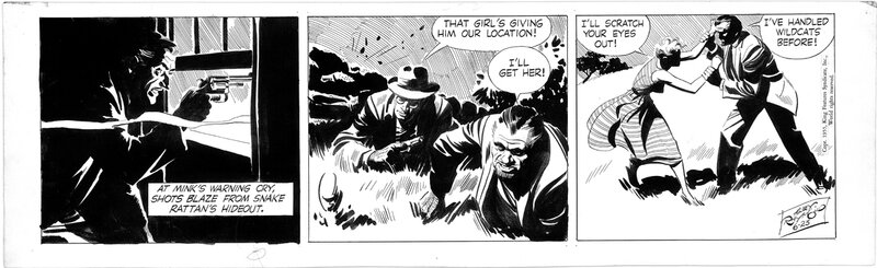 Alex Raymond, Rip Kirby 1955.06.23 - Comic Strip