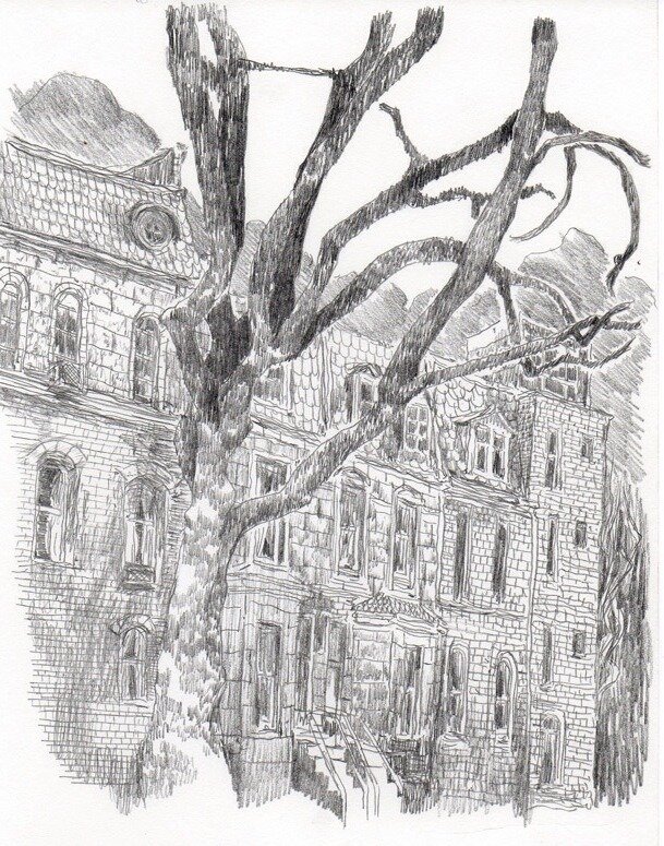 Le vieil arbre by Aseyn - Comic Strip