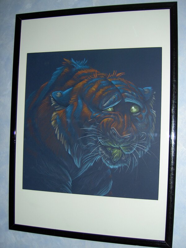 Tigre DAVID COLMAN - Illustration originale